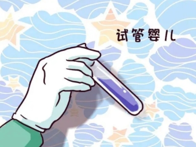 三代试管供卵代怀